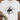 Ash Buck bronc rider Western graphic T-shirt by High Country Standard