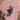 Orchid Double Fisted cowboy graphic T-shirt by High Country Standard
