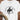 White Buck bronc rider Western graphic T-shirt by High Country Standard