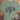 Sage Buffalo HCS Western graphic T-shirt by High Country Standard
