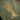 #color_military-green