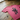 #color_heather-raspberry