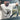 #color_vintage-white